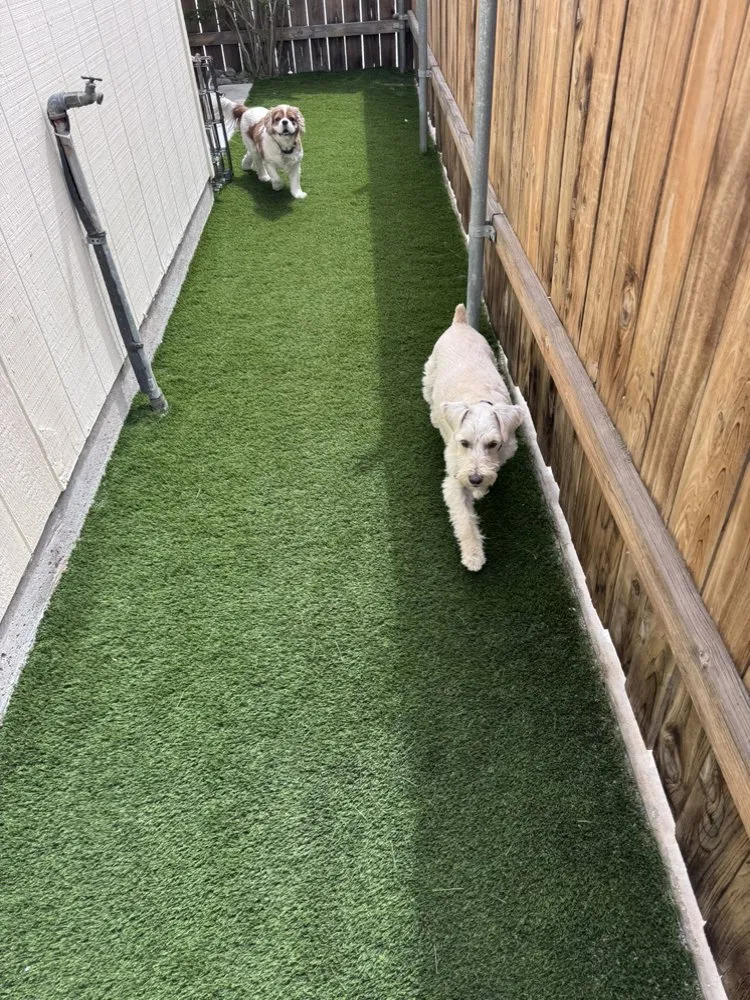 Professional landscaping services for year-round maintenance in Hesperia, CA by 08 Landscaping