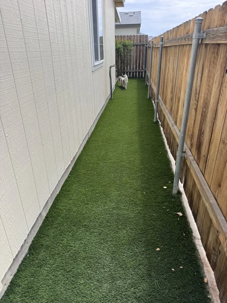 Professional landscaping services in Hesperia, CA by 08 Landscaping