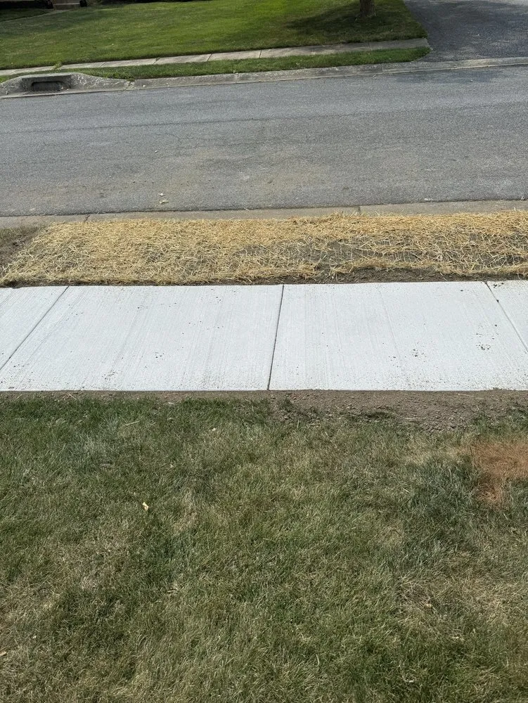 Trusted garden landscaping in Bear, DE - 1 2 Tree Gone