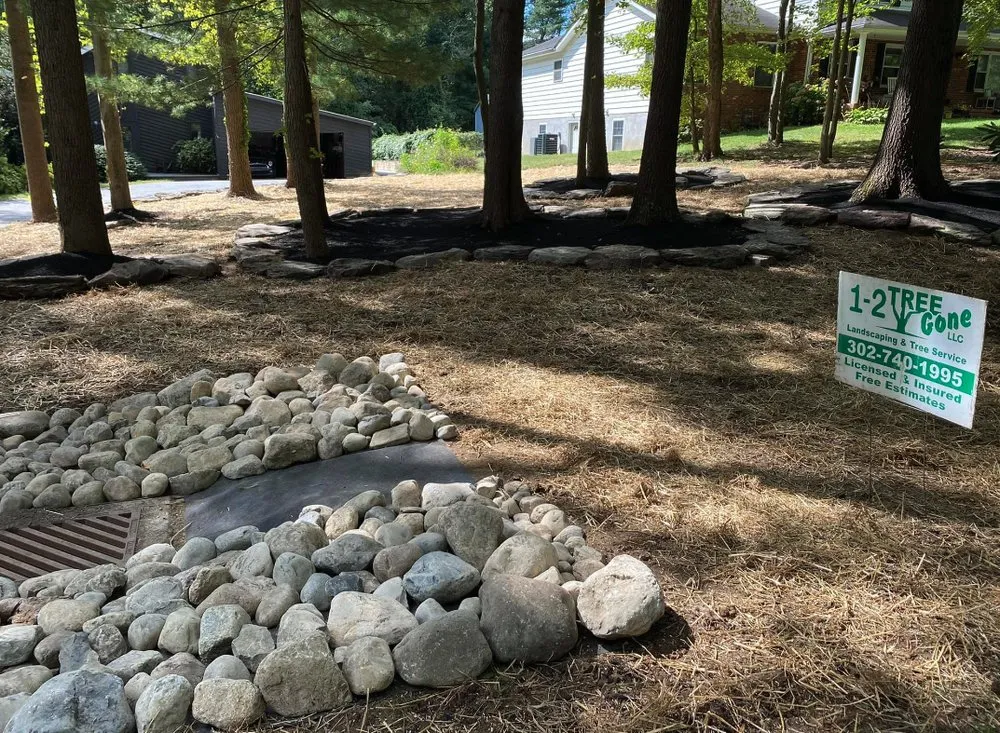 Top-rated garden landscaping for outdoor upgrades across Bear, DE - 1 2 Tree Gone