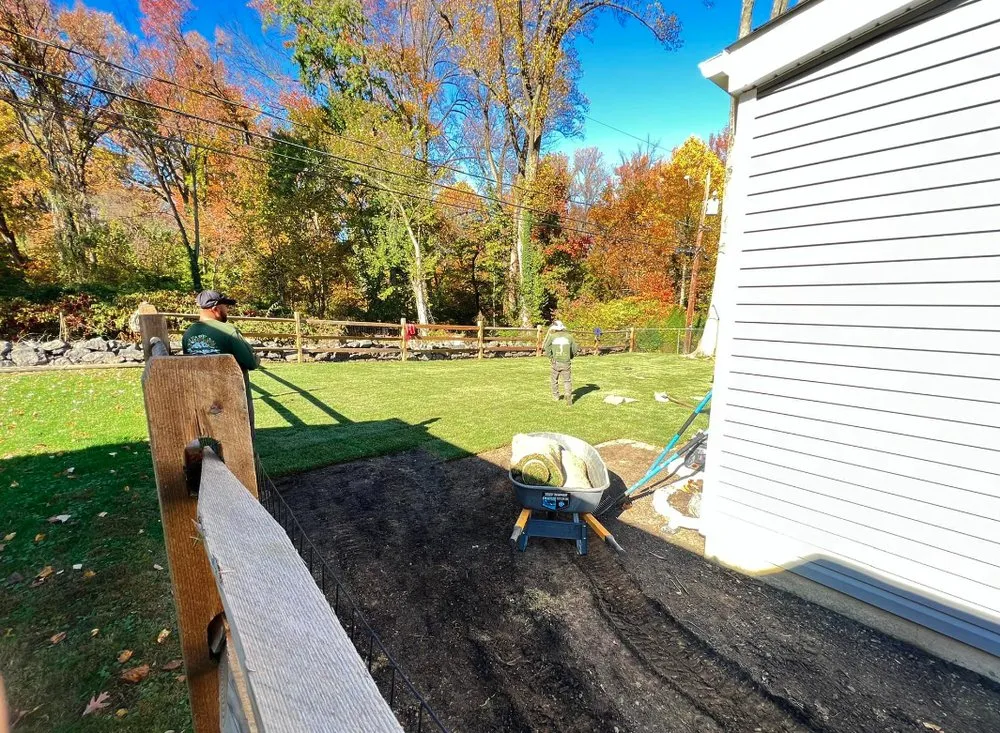 Custom lawn care service in Bear, DE - 1 2 Tree Gone