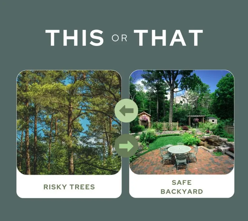 Top-rated landscaping services for residential properties in Bear, DE by 1 2 Tree Gone