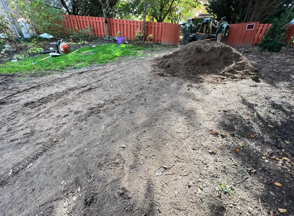 Expert yard cleanup service experts serving Bear, DE - 1 2 Tree Gone