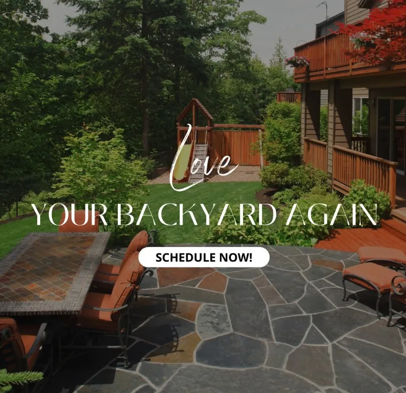 Trusted lawn mowing service in Bear, DE - 1 2 Tree Gone