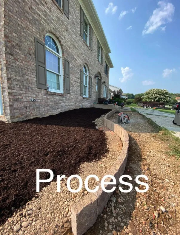 Custom yard cleanup service for outdoor upgrades across Bear, DE - 1 2 Tree Gone