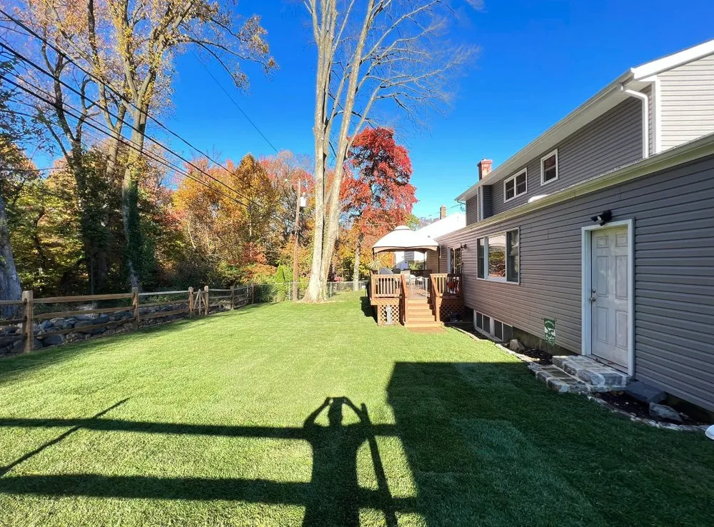 Professional lawn care service in Bear, DE - 1 2 Tree Gone