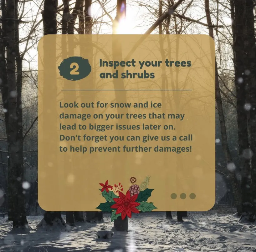 Top-rated garden landscaping for homes across Bear, DE - 1 2 Tree Gone