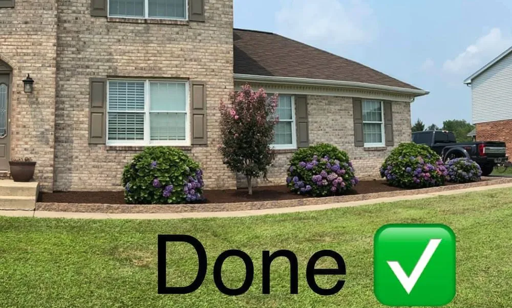 Expert yard cleanup service in Bear, DE - 1 2 Tree Gone