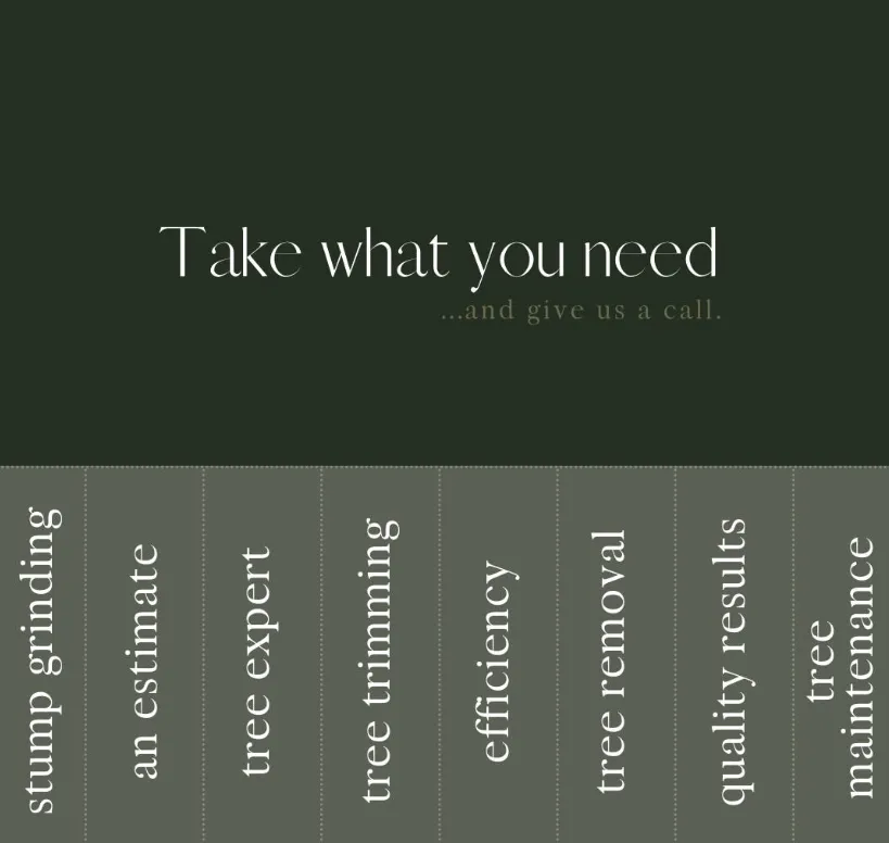 Trusted outdoor landscaping for residential properties across Bear, DE - 1 2 Tree Gone