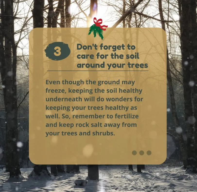 Expert outdoor landscaping in Bear, DE - 1 2 Tree Gone