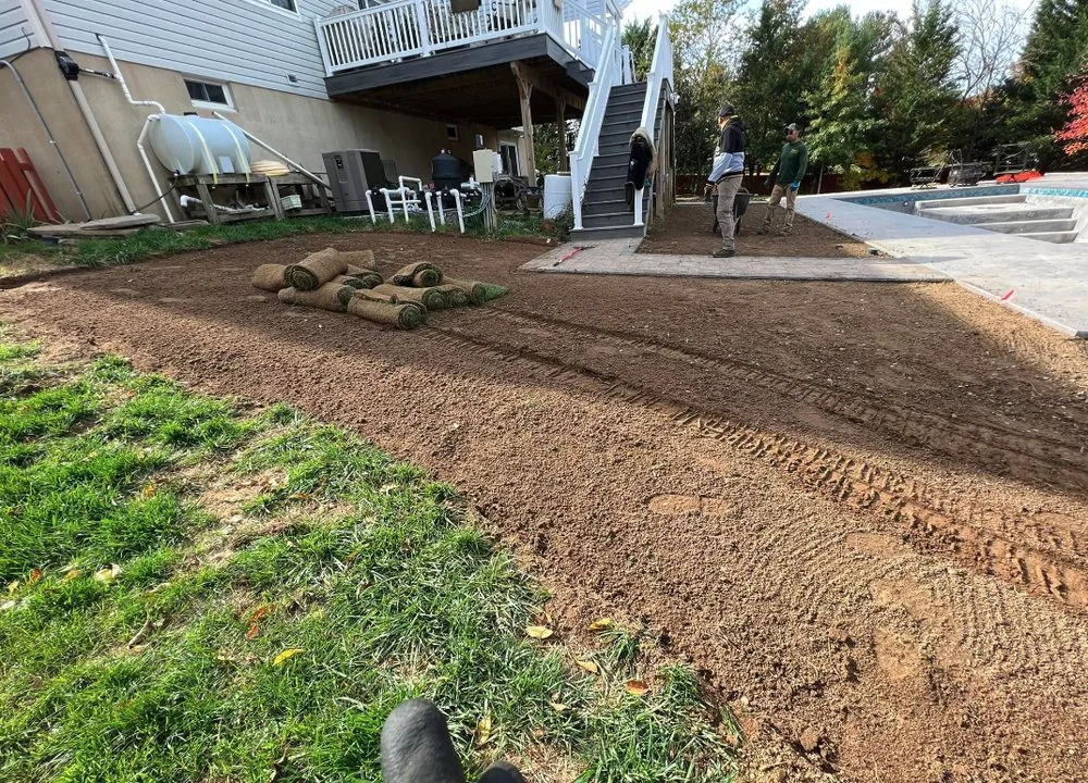 Custom yard cleanup service in Bear, DE - 1 2 Tree Gone