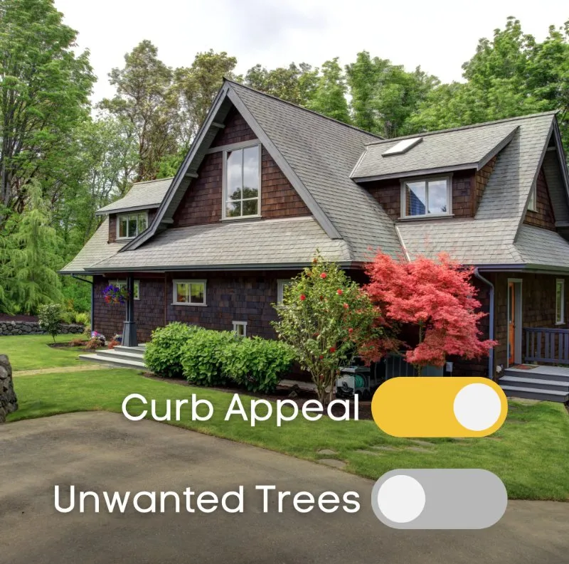 Professional yard maintenance for outdoor upgrades across Bear, DE - 1 2 Tree Gone