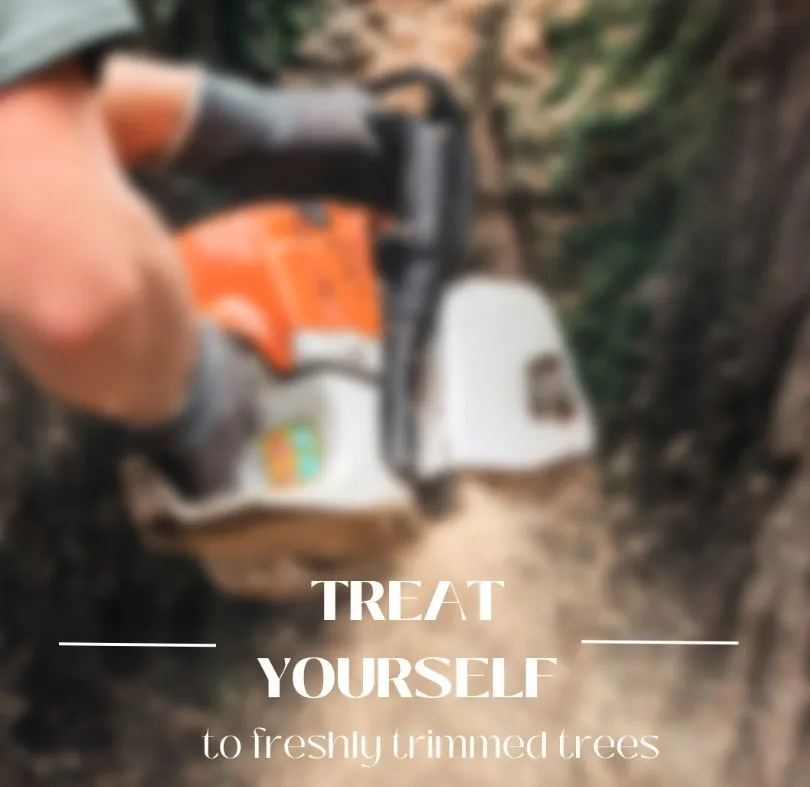 Expert garden landscaping in Bear, DE by 1 2 Tree Gone