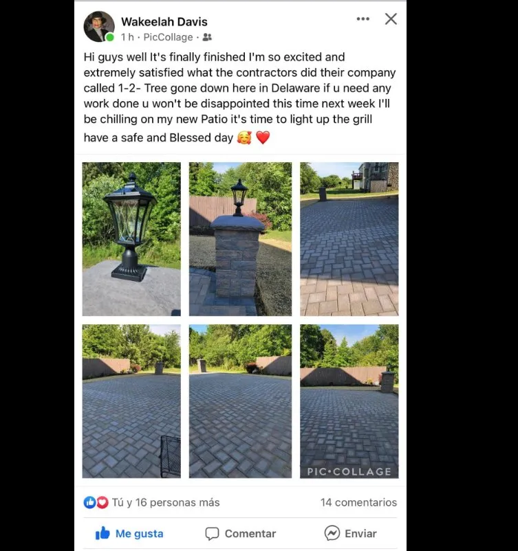 Custom landscaping services experts serving Bear, DE - 1 2 Tree Gone