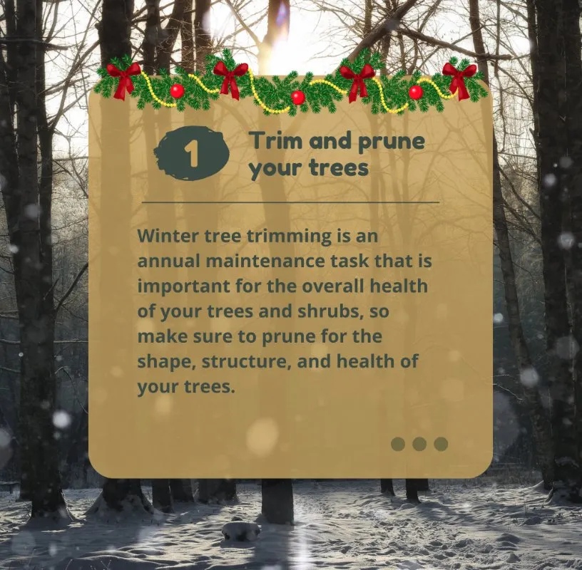 Expert lawn mowing service near you across Bear, DE - 1 2 Tree Gone