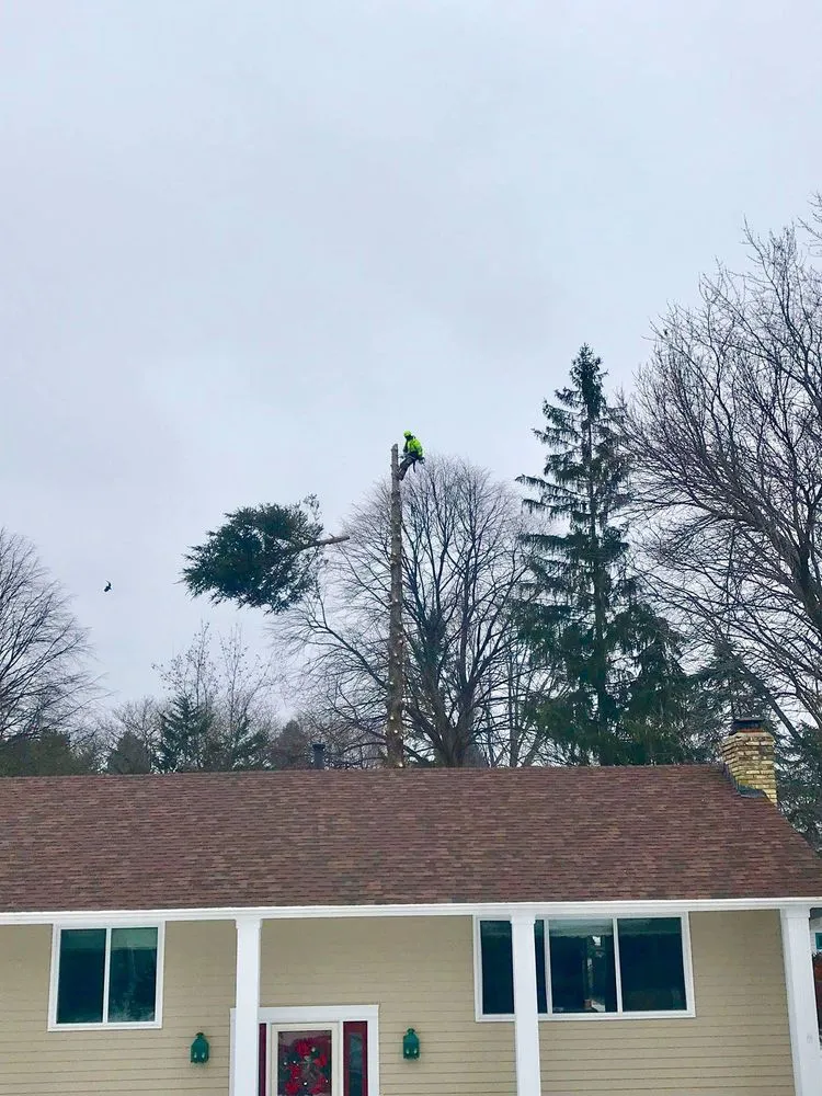 Top-rated lawn mowing service in Stillwater, MN by 1-2 Tree Lawn And Landscape