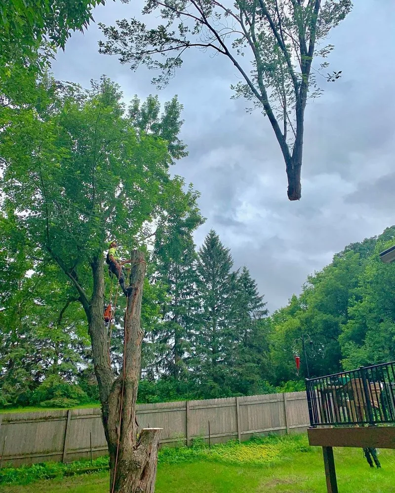 Local residential landscaping experts serving Stillwater, MN - 1-2 Tree Lawn And Landscape