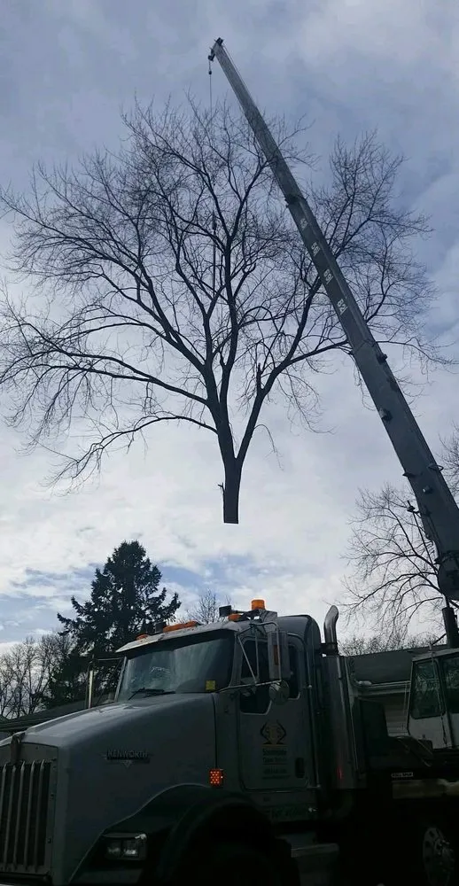 Expert lawn care service in Stillwater, MN - 1-2 Tree Lawn And Landscape