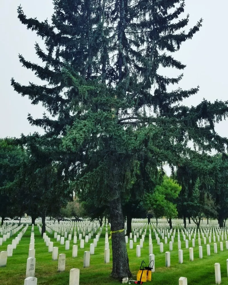 Reliable outdoor landscaping experts serving Stillwater, MN - 1-2 Tree Lawn And Landscape