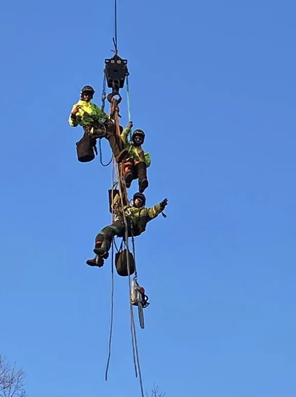 Custom outdoor landscaping experts serving Stillwater, MN - 1-2 Tree Lawn And Landscape