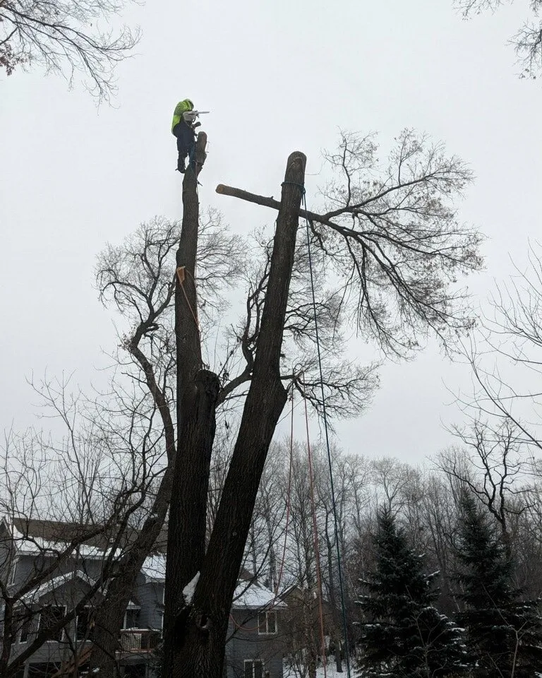 Expert landscaping services in Stillwater, MN by 1-2 Tree Lawn And Landscape