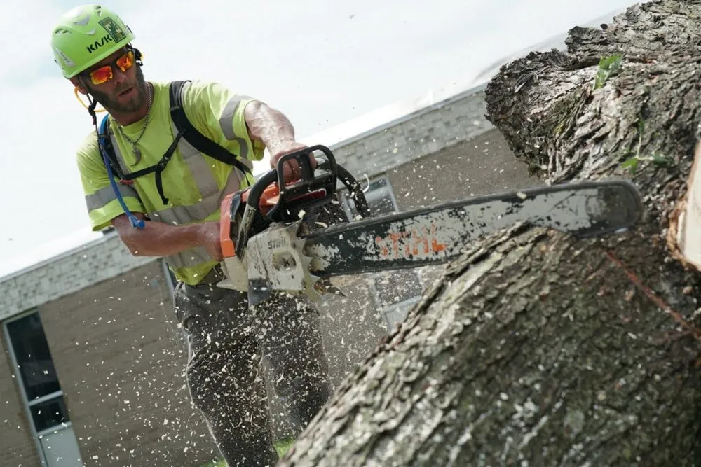 Local garden landscaping for outdoor upgrades in Stillwater, MN by 1-2 Tree Lawn And Landscape