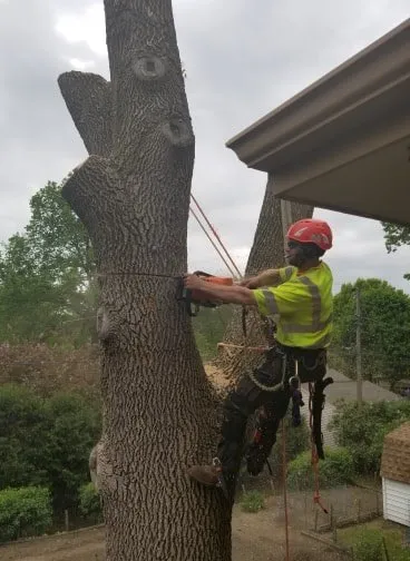 Custom landscape installation in Stillwater, MN by 1-2 Tree Lawn And Landscape