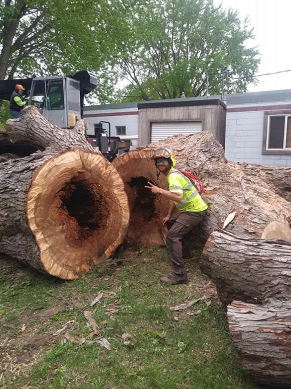 Affordable lawn mowing service experts serving Stillwater, MN - 1-2 Tree Lawn And Landscape