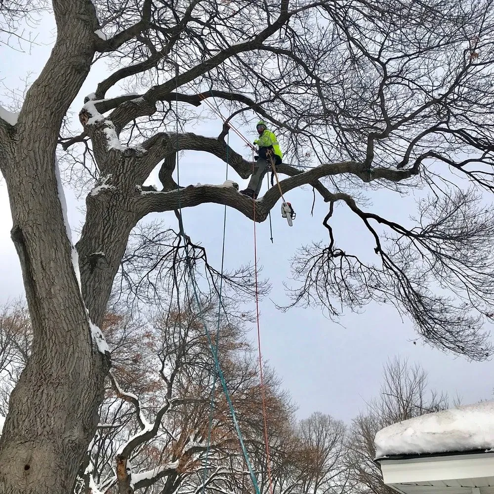 Local lawn care service for beautiful yards across Stillwater, MN - 1-2 Tree Lawn And Landscape