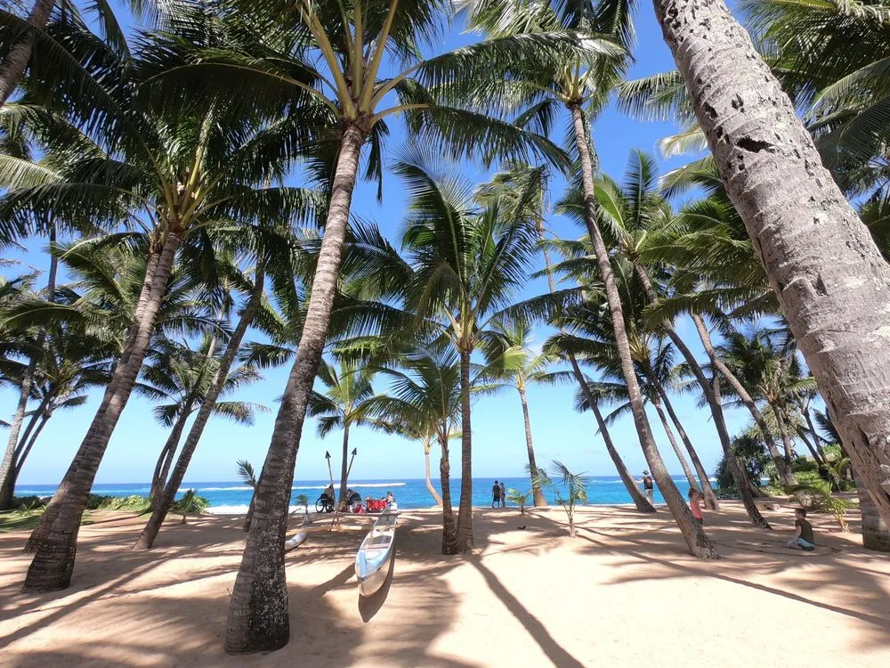 Top-rated garden landscaping for residential properties across Stillwater, MN - 1-2 Tree Lawn And Landscape