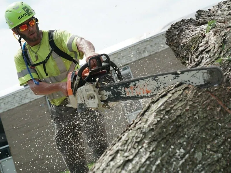 Reliable landscape installation experts serving Stillwater, MN - 1-2 Tree Lawn And Landscape