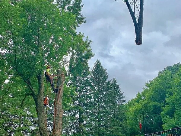 Local yard cleanup service with custom design across Stillwater, MN - 1-2 Tree Lawn And Landscape