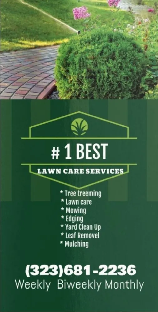 Reliable landscaping services in Redondo, CA - 1 Best Lawn Care Services