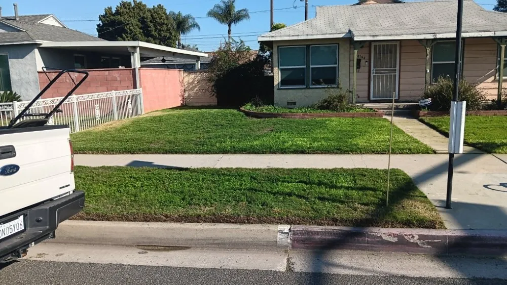 Custom landscape design experts serving Redondo, CA - 1 Best Lawn Care Services