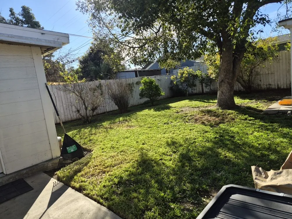 Affordable landscape design for beautiful yards in Redondo, CA by 1 Best Lawn Care Services