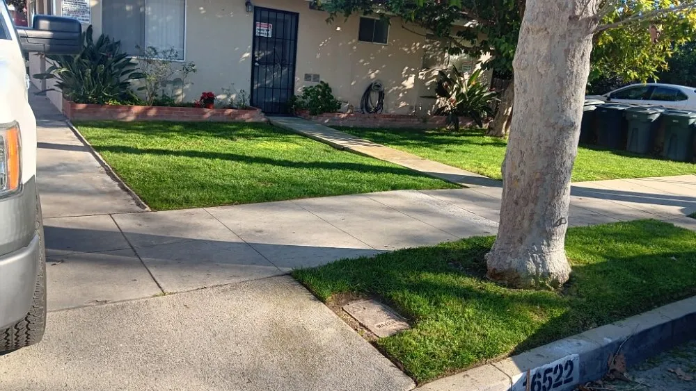 Local landscaping services in Redondo, CA - 1 Best Lawn Care Services