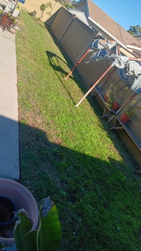 Top-rated garden landscaping in Redondo, CA - 1 Best Lawn Care Services