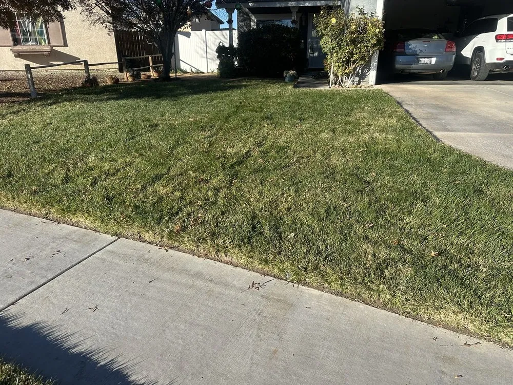Local yard cleanup service with custom design across Redondo, CA - 1 Best Lawn Care Services