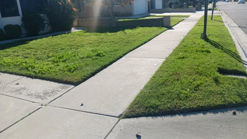 Professional outdoor landscaping for homes across Redondo, CA - 1 Best Lawn Care Services
