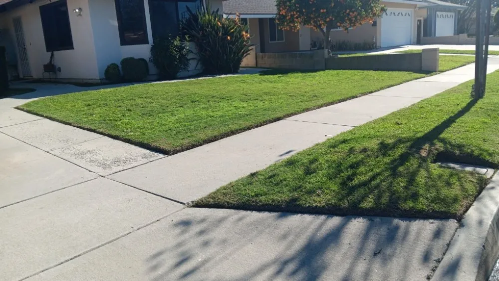 Affordable lawn care service in Redondo, CA by 1 Best Lawn Care Services