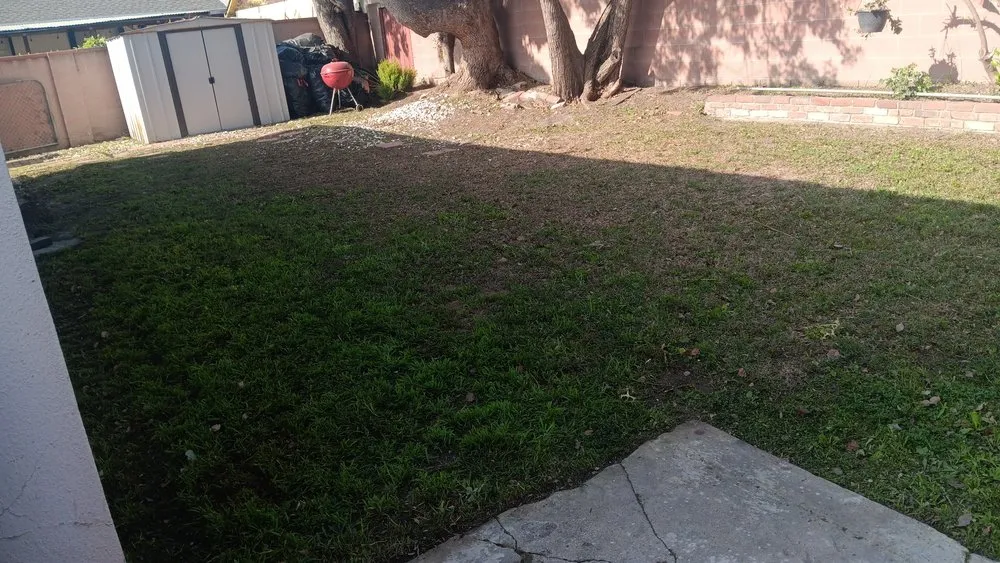 Professional yard cleanup service in Redondo, CA by 1 Best Lawn Care Services