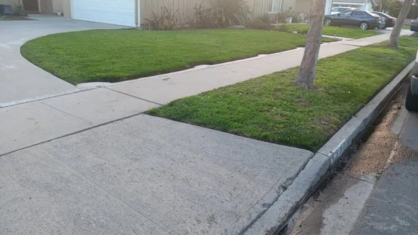 1 Best Lawn Care Services