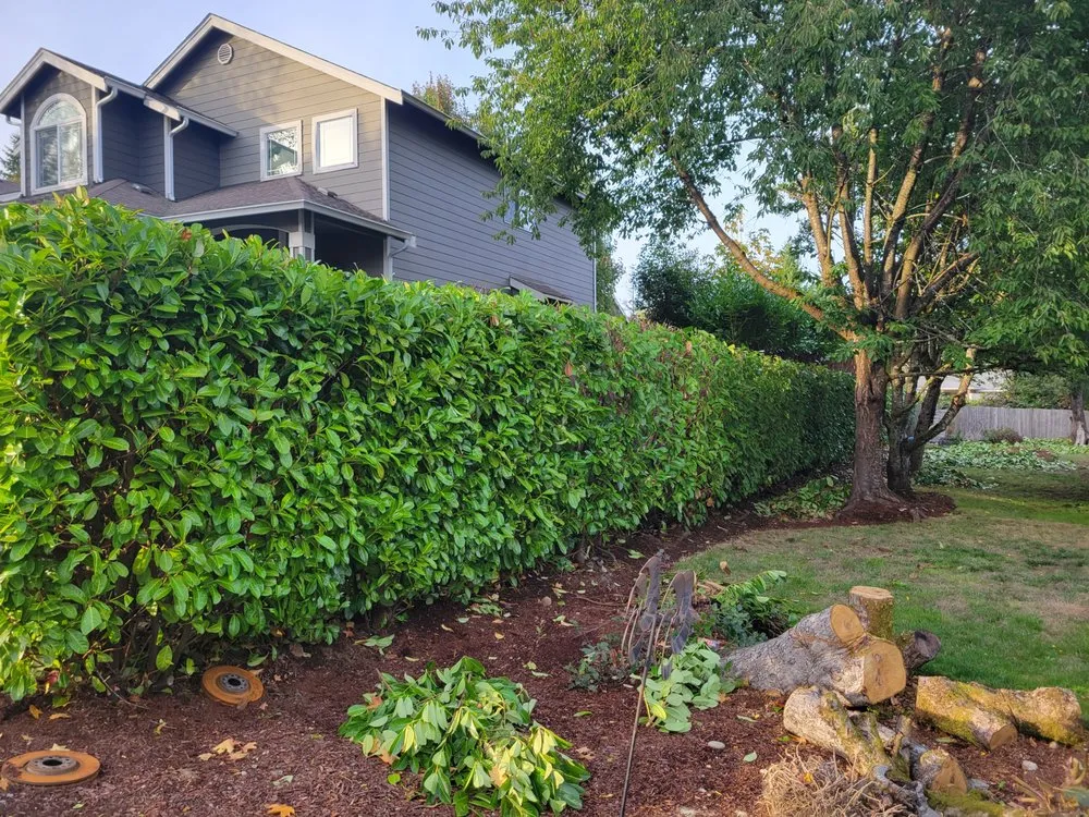 Reliable outdoor landscaping for homes across Lynnwood, WA - 1 Custom Landscapes