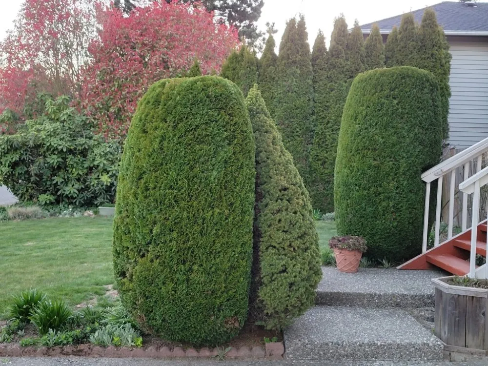 Custom landscape installation for beautiful yards in Lynnwood, WA by 1 Custom Landscapes