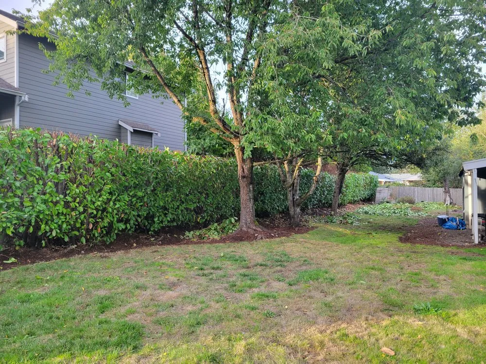 Top-rated landscape installation experts serving Lynnwood, WA - 1 Custom Landscapes