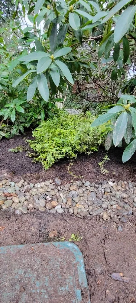 Trusted landscape installation experts serving Lynnwood, WA - 1 Custom Landscapes