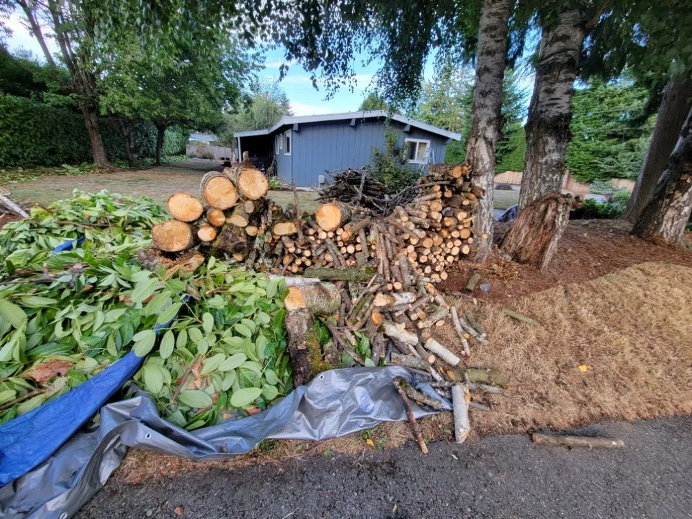 Expert landscape design in Lynnwood, WA - 1 Custom Landscapes