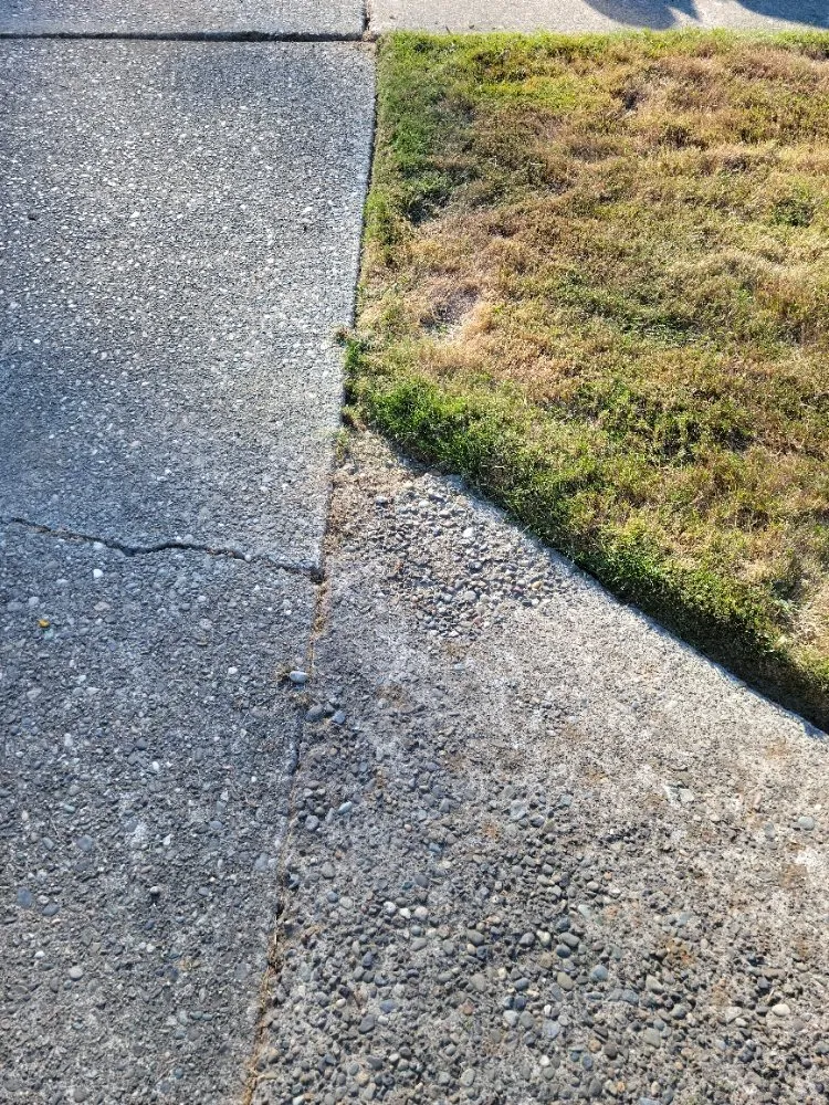 Local landscape installation with custom design in Lynnwood, WA by 1 Custom Landscapes