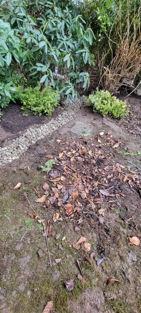 Trusted landscaping services in Lynnwood, WA by 1 Custom Landscapes