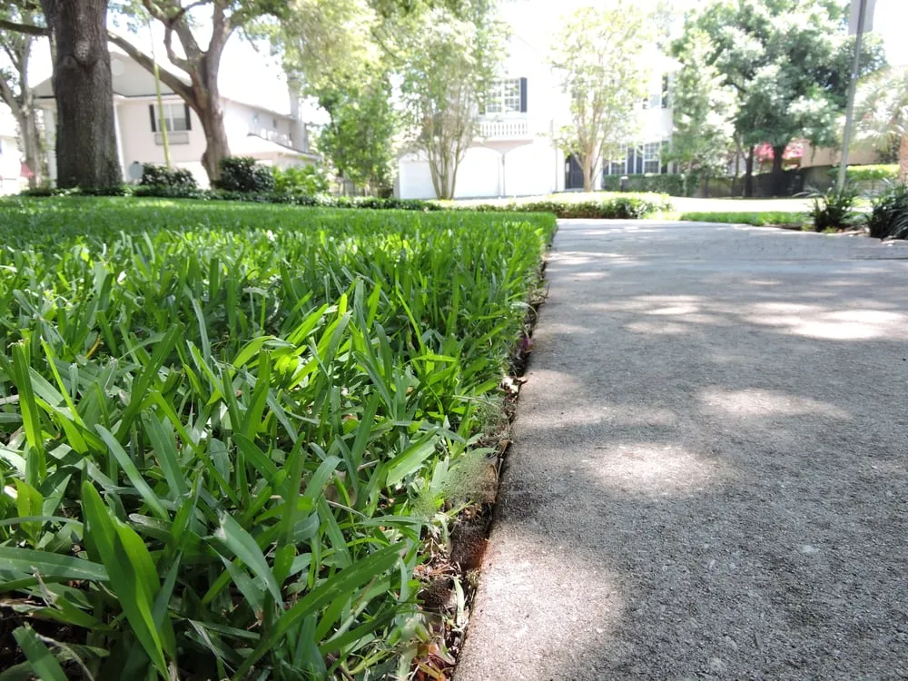 Local lawn care service for residential properties in Tampa, FL by 1 Friendly Lawn Service